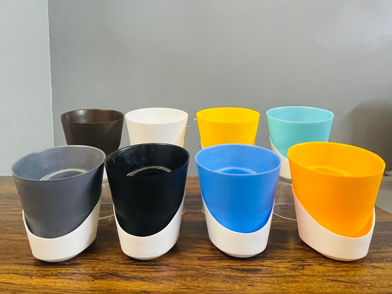 China Palm Plant With Atlantis Self Watering Pot