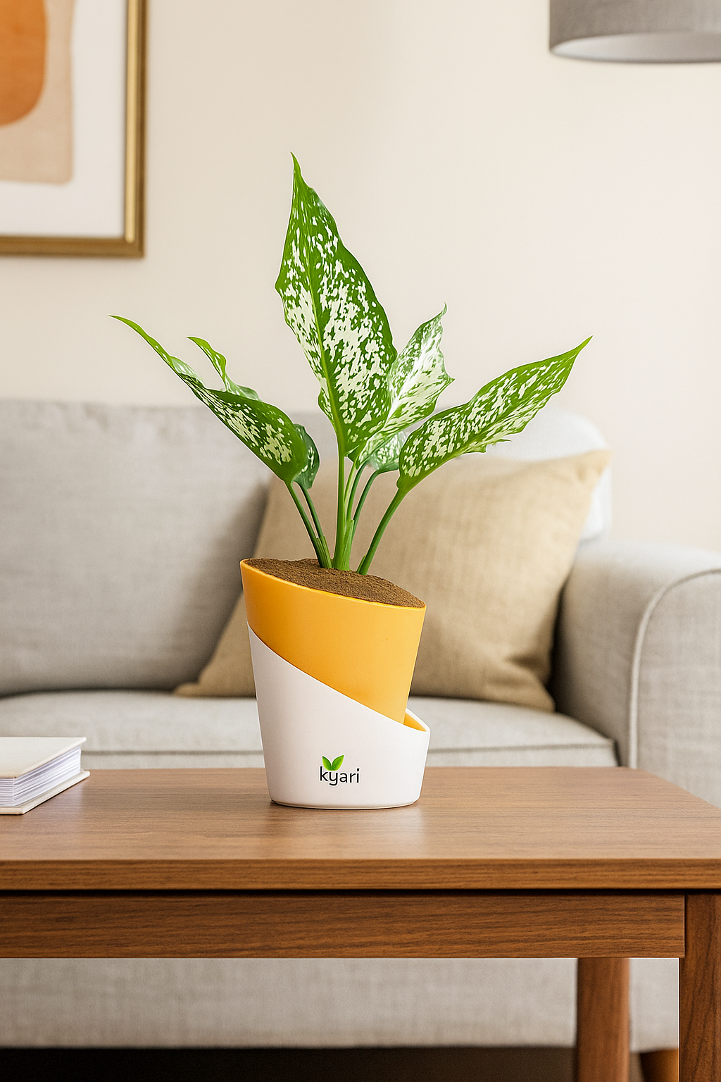Aglaonema Chinese Evergreen Plant With Atlantis Self Watering Pot